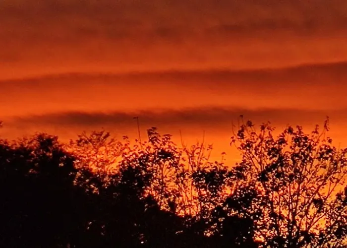 Ecrin De Verdure Vakantiehuis Sarlat-la-Canéda